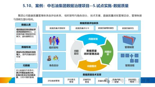 構(gòu)建高效合規(guī)的數(shù)據(jù)處理服務(wù)體系——XX集團(tuán)數(shù)據(jù)治理體系建設(shè)方案