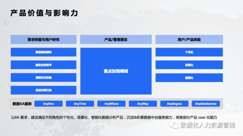 數(shù)據(jù)處理服務(wù) 人力資源管理實(shí)踐的基石與突破